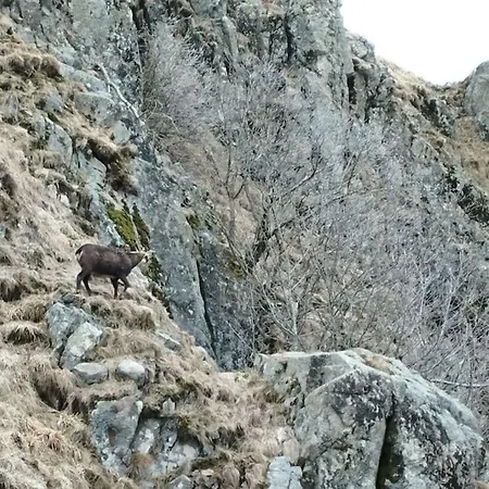 Aux Balcons De La Vallee بيت للعطل *