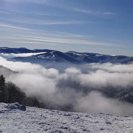 Aux Balcons De La Vallee Soultzeren