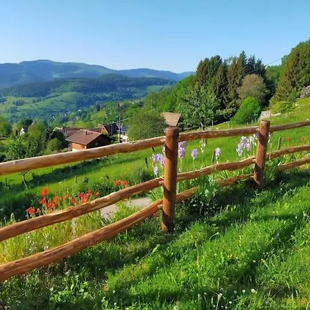 Aux Balcons De La Vallee * Soultzeren