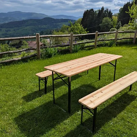 Aux Balcons De La Vallee Holiday home Soultzeren