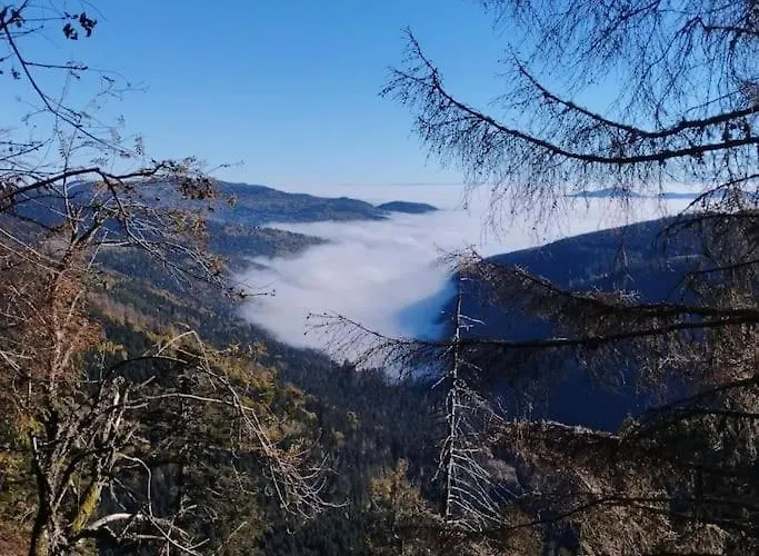 Aux Balcons De La Vallee Soultzeren